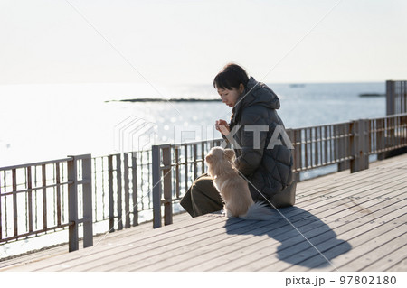 冬の海を背景にしたテラスデッキで愛犬と一緒に寛ぐ飼い主の女性 97802180