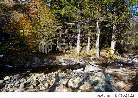 滝を見に行くにはわたる必要のある橋 97802422