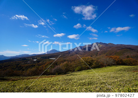 ササの密集地から見る日光の山々 ササの密集地から見る日光の山々 97802427