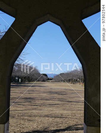 宝野公園から見える絵画のような富士山（多摩市） 97802544