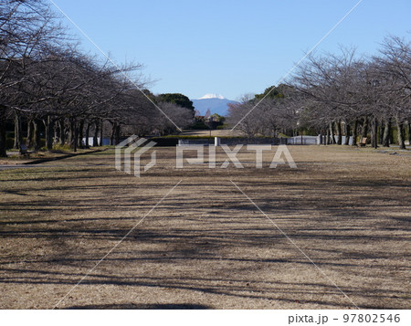 宝野公園から見える絵画のような富士山（多摩市） 97802546