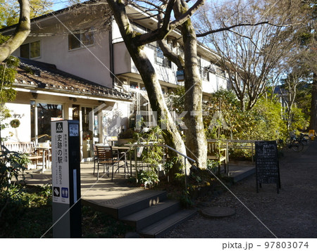 お鷹の道/真姿の池湧水群(名水百選)史跡の駅:カフェ お鷹の道/真姿の池湧水群(名水百選)史跡の駅:カフェ 97803074