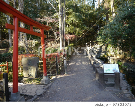 お鷹の道・真姿の池湧水群（名水百選） 97803075