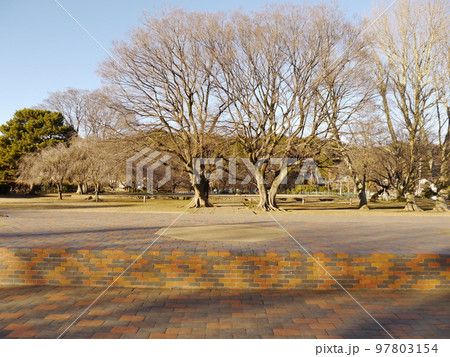 武蔵国分寺跡(国指定史跡) 武蔵国分寺跡(国指定史跡) 97803154