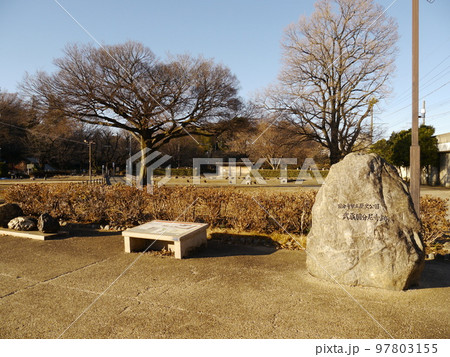 武蔵国分尼寺跡(国指定史跡) 武蔵国分尼寺跡(国指定史跡) 97803155