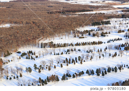 冬の千歳上空の雪景色 97803180