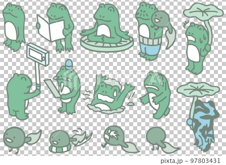 Frog character tadpole frog whole body pose 97803431
