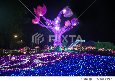 festive light decorating on tree in park at night. Holiday celebration festival 97803497