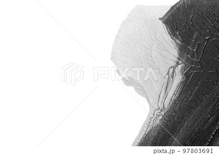 black white abstract acrylic painting color texture on white paper background by using rorschach inkblot method black white abstract acrylic painting color texture on white paper background by using rorschach inkblot method 97803691