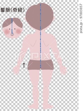 An illustration of a man's body showing the flow of the eight ectopic meridians. 97803857