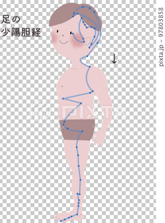足の少陽胆経の流注を男性の身体で表したイラスト 97803858