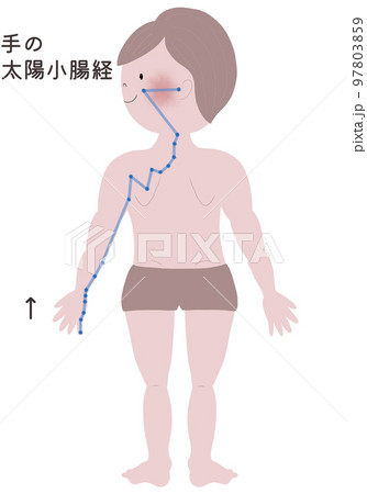 手の太陽小腸経の流注を男性の身体で表したイラスト 97803859