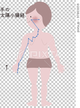手の太陽小腸経の流注を男性の身体で表したイラスト 97803859