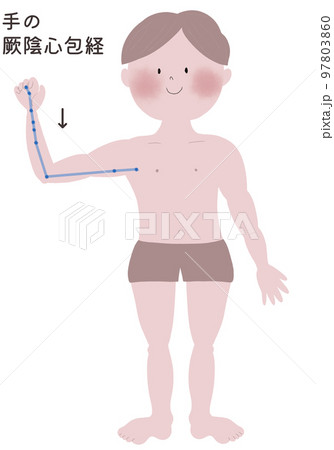 手の厥陰心包経の流注を男性の身体で表したイラスト 手の厥陰心包経の流注を男性の身体で表したイラスト 97803860
