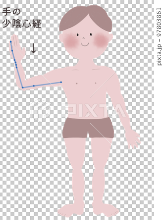 手の少陰心経の流注を男性の身体で表したイラスト 97803861