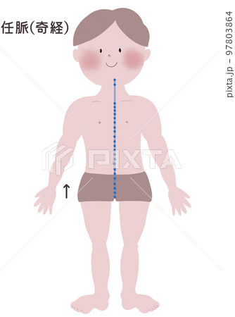 奇経八脈の任脈の流注を男性の身体で表したイラストのイラスト素材 [97803864] - PIXTA