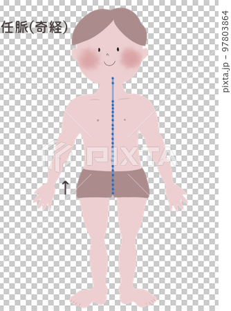 An illustration showing the flow of the eight paradoxical meridians in a male body 97803864