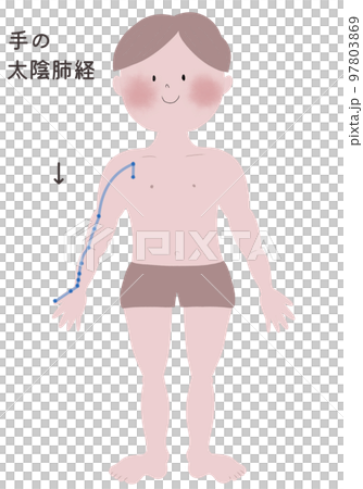 Illustration showing the outflow of the lunar lung meridian of the hand with a male body Illustration showing the outflow of the lunar lung meridian of the hand with a male body 97803869