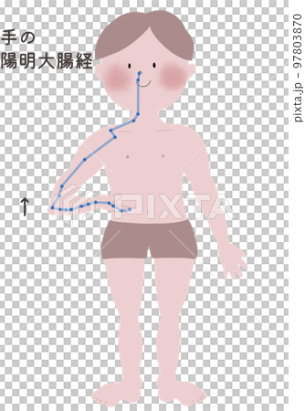 An illustration showing the flow of the Yang Ming large intestine meridian in the hand with a male body 97803870