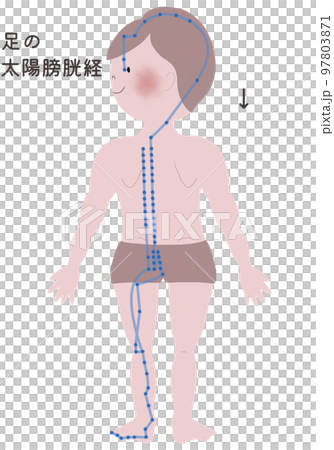 Illustration showing the outflow of the solar bladder meridian in the foot on a male body 97803871