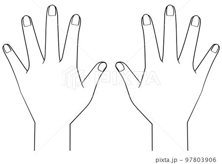 手の甲のイラスト　両手 97803906