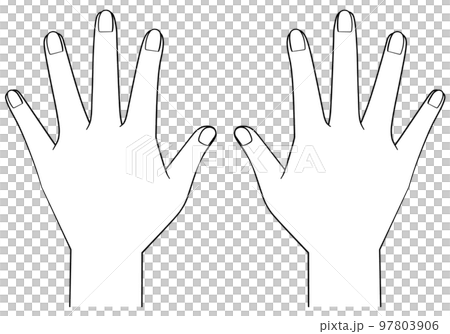 手の甲のイラスト　両手 97803906