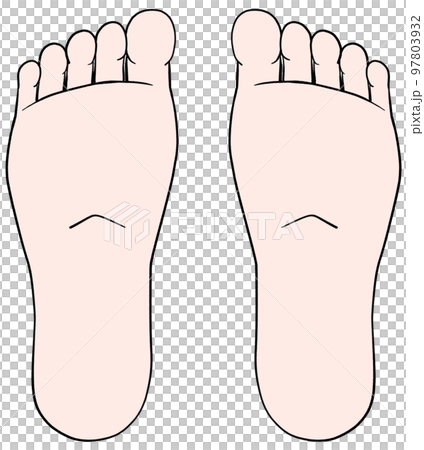 Illustration of soles Both feet Illustration of soles Both feet 97803932