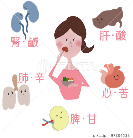 東洋医学の、五臓六腑を養う五味を、食事する若い女性で表したイラスト 97804538
