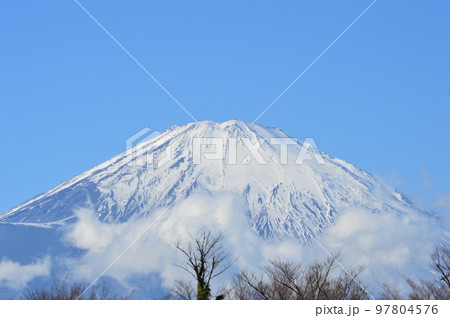 足柄SA下りから見た富士山3 97804576