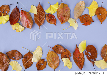 秋色落ち葉の背景素材 秋色落ち葉の背景素材 97804701