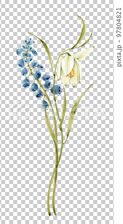 Watercolor delicate bouquet of spring flowers, hand painted. 97804821