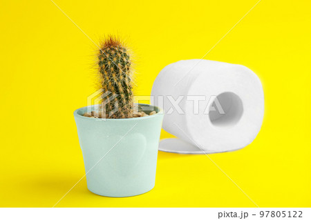 Roll of toilet paper and cactus on yellow background. Hemorrhoid problems Roll of toilet paper and cactus on yellow background. Hemorrhoid problems 97805122