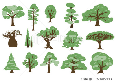 Green trees concept collection in flat cartoon design. Different types of deciduous and coniferous trees with green crown. Parks, gardens and forests plants set isolated elements. Vector illustration 97805443