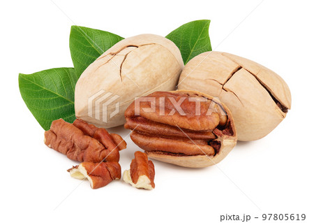 Three pecan nuts isolated on white background 97805619