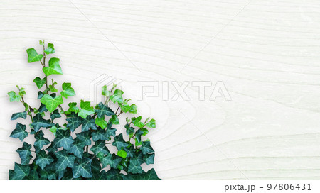 木目素材とグリーン 97806431