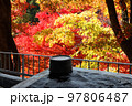 紅葉を見ながら入る絶景露天風呂 97806487