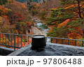 紅葉を見ながら入る絶景露天風呂 97806488