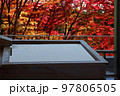 紅葉を見ながら入る絶景露天風呂 97806505