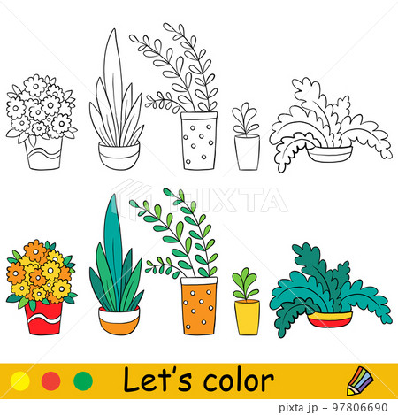 House plants coloring page with template vector 97806690
