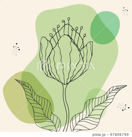 Flower outline in abstract green and beige background. Simple botanical art. Vector illustration 97806799