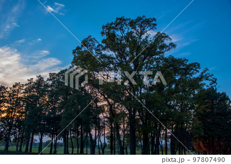 晩秋　夕焼け空　秋の季節　　 97807490