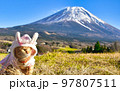 富士山が背景の新年ウサギの着ぐるみ猫 97807511