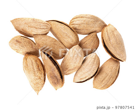 Mountain almonds isolated on white background. Uzbek wild almonds. Clipping path. Top view. 97807541