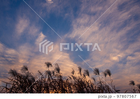 夕焼け空　晩秋　秋空の風景　　 97807567