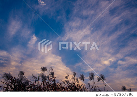 夕焼け空　晩秋　秋空の風景　　 97807596