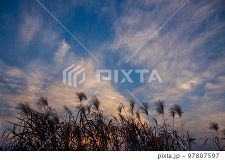 夕焼け空　晩秋　秋空の風景　　 97807597