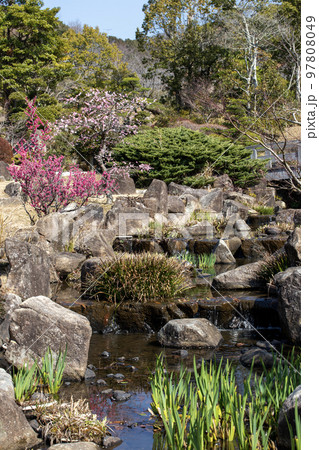 梅林公園の春 梅林公園の春 97808049