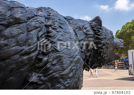 Los Angeles, USA. September 20, 2022. Close-up of black bronze sculpture of Bruin at UCLA campus with blue sky in the background Los Angeles, USA. September 20, 2022. Close-up of black bronze sculpture of Bruin at UCLA campus with blue sky in the background 97808102