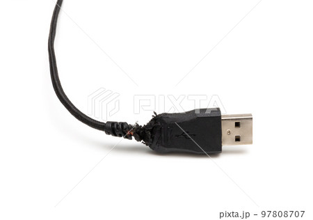Black damaged usb cable gnawed by a dog 97808707