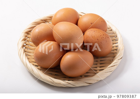 那須御養卵 97809387